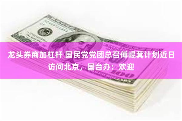 龙头券商加杠杆 国民党党团总召傅崐萁计划近日访问北京，国台办：欢迎