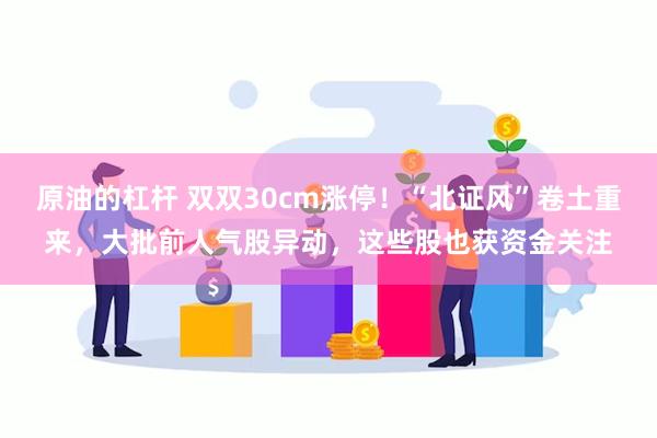 原油的杠杆 双双30cm涨停！“北证风”卷土重来，大批前人气股异动，这些股也获资金关注