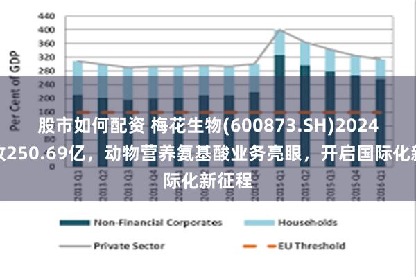 股市如何配资 梅花生物(600873.SH)2024年营收250.69亿，动物营养氨基酸业务亮眼，开启国际化新征程