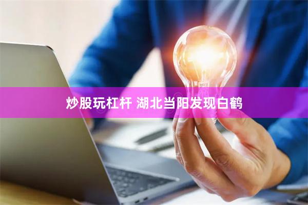 炒股玩杠杆 湖北当阳发现白鹤