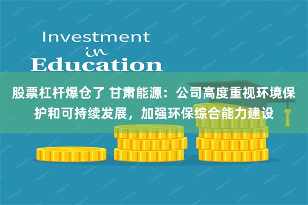 股票杠杆爆仓了 甘肃能源：公司高度重视环境保护和可持续发展，加强环保综合能力建设
