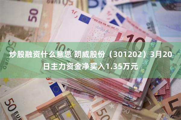 炒股融资什么意思 朗威股份（301202）3月20日主力资金净买入1.35万元