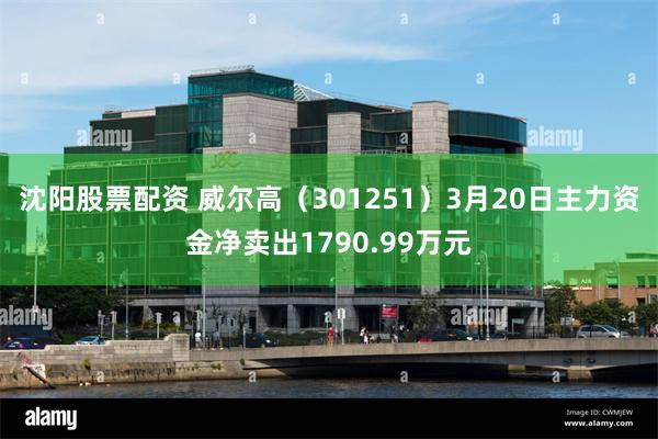 沈阳股票配资 威尔高（301251）3月20日主力资金净卖出1790.99万元