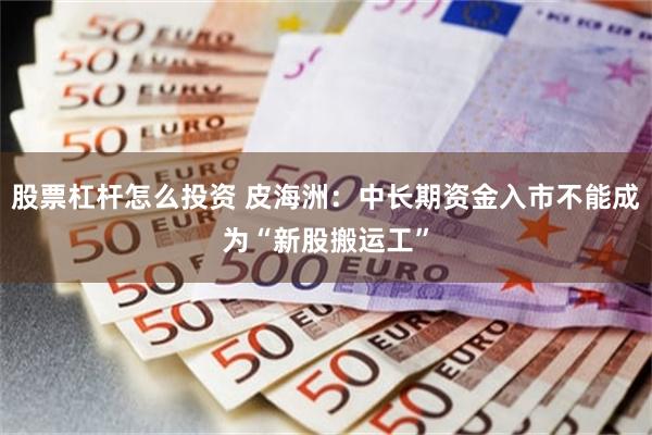 股票杠杆怎么投资 皮海洲：中长期资金入市不能成为“新股搬运工”