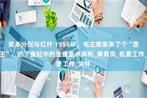 资本分配与杠杆 1956年，毛主席家来了个“混世魔王”，抓了鱼缸中的金鱼差点弄死_黄有凤_机要工作_关怀