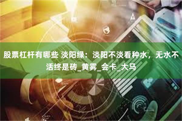 股票杠杆有哪些 淡阳绿：淡阳不淡看种水，无水不活终是砖_黄雾_会卡_大马