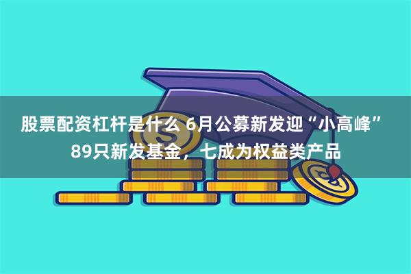 股票配资杠杆是什么 6月公募新发迎“小高峰” 89只新发基金，七成为权益类产品