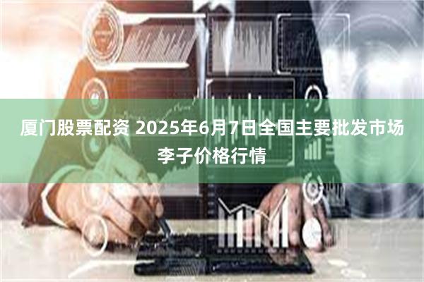 厦门股票配资 2025年6月7日全国主要批发市场李子价格行情