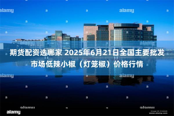 期货配资选哪家 2025年6月21日全国主要批发市场低辣小椒（灯笼椒）价格行情