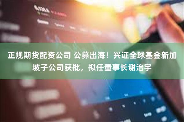 正规期货配资公司 公募出海！兴证全球基金新加坡子公司获批，拟任董事长谢治宇