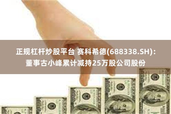 正规杠杆炒股平台 赛科希德(688338.SH)：董事古小峰累计减持25万股公司股份