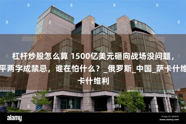 杠杆炒股怎么算 1500亿美元砸向战场没问题，和平两字成禁忌，谁在怕什么？_俄罗斯_中国_萨卡什维利