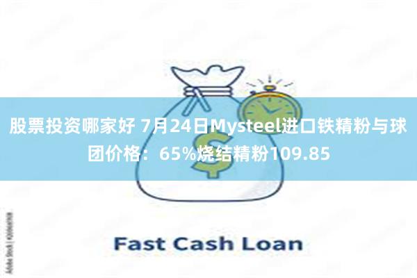 股票投资哪家好 7月24日Mysteel进口铁精粉与球团价格：65%烧结精粉109.85