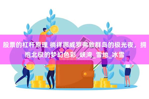 股票的杠杆原理 徜徉挪威罗弗敦群岛的极光夜，拥抱北极的梦幻色彩_峡湾_雪地_冰雪
