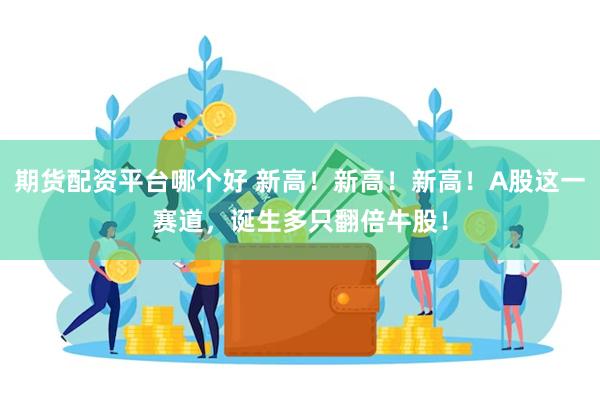 期货配资平台哪个好 新高！新高！新高！A股这一赛道，诞生多只翻倍牛股！