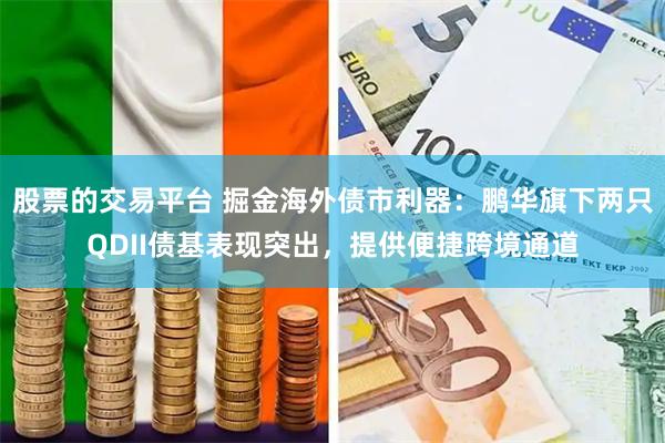 股票的交易平台 掘金海外债市利器：鹏华旗下两只QDII债基表现突出，提供便捷跨境通道